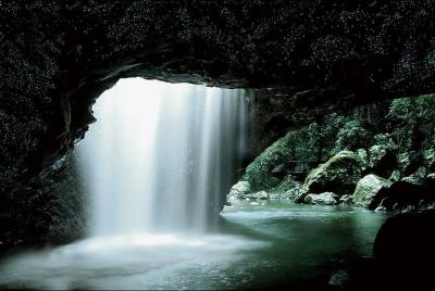 Natural Bridge Glow Worm Night Tour from Gold Coast Natural Bridge Glow Worm Night Tour from Gold Coast