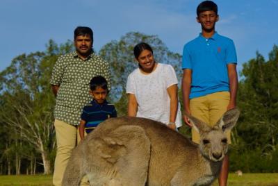 Kangaroo Watching & Koala Spotting - Private Tour Kangaroo Watching & Koala Spotting - Private Tour