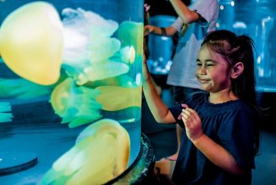 SEA LIFE Sydney Aquarium Entrance Ticket SEA LIFE Sydney Aquarium Entrance Ticket