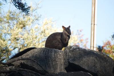 From the Mountains to the Bay - 4 Day Rediscovery Small Group Tou