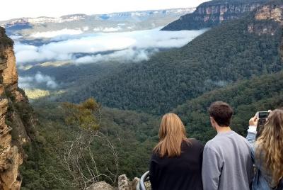 Blue Mountains Private Tour - wild kangaroos, waterfalls and The 