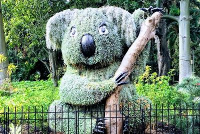 Discover Sydney - Botanic Discover Sydney - Botanic