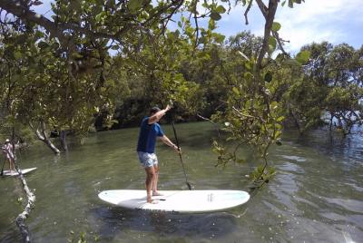Ku-ring-gai Chase National Park Stand Up Paddleboard Tour Ku-ring-gai Chase National Park Stand Up Paddleboard Tour