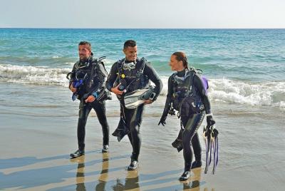 Sydney Guided Shore Dive