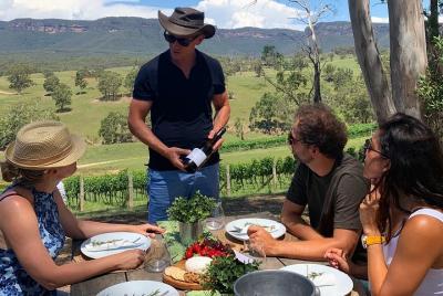 Luxury Blue Mountains tour with Aussie BBQ lunch and wine tasting