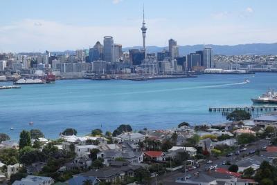 Shore Excursion: Full Day Small Group Auckland Scenic Tour - 8 Ho