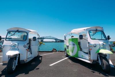 City Sprint One Hour Electric Tuk-Tuk Private Heritage and Cultur