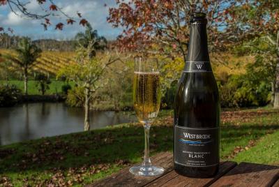 Auckland's City Tour & Kumeu Wine Country Includes Wine Tasting &
