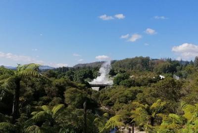 4-Day Auckland to Wellington via Rotorua Tour 4-Day Auckland to Wellington via Rotorua Tour