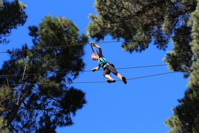 Adrenalin Forest Auckland Adrenalin Forest Auckland