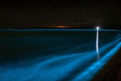 Bioluminescence Kayak Tour Bioluminescence Kayak Tour