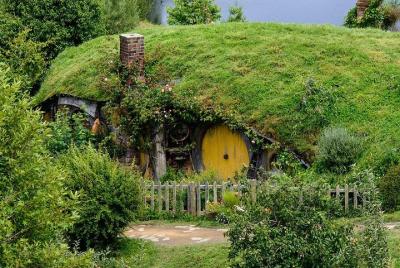 Hobbiton Movie Set & Glow-Worm Cave Tour from Auckland (Return Tr