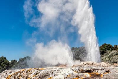 Rotorua Highlights Small Group Tour Including Te Puia from Auckla Rotorua Highlights Small Group Tour Including Te Puia from Auckla