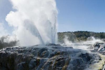  Rotorua Day Trip from Auckland with Options - Guaranteed departu