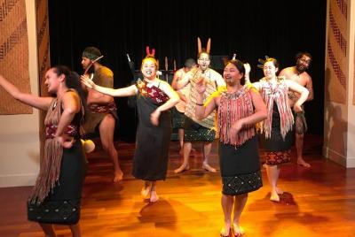 Auckland City and Maori Culture Tour (private vehicle & guide) Auckland City and Maori Culture Tour (private vehicle & guide)