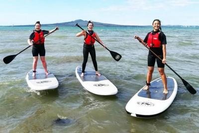 Stand Up Paddle Board rental - 2 hour