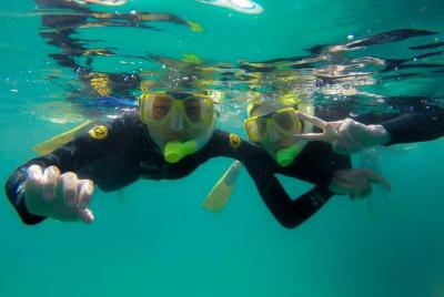 Guided Snorkel Experience, Beginners Guided Snorkel Experience, Beginners