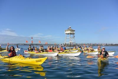 Auckland Rangitoto Island Guided Sunset Kayaking Tour