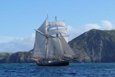 Bay of Islands Tall Ship Sailing on  Bay of Islands Tall Ship Sailing on 'R. Tucker Thompson' Includin