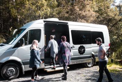 Bay of Islands Highlights Tour - With Glow Worm Caves Bay of Islands Highlights Tour - With Glow Worm Caves