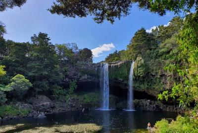 Scenic Escape with Glow Worm Caves Scenic Escape with Glow Worm Caves