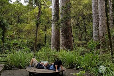 Scenic Escape with Winery Lunch and Glow Worm Caves Scenic Escape with Winery Lunch and Glow Worm Caves