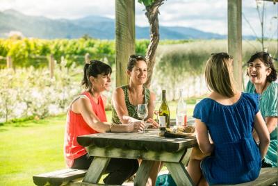 Full Day Winemaker Full Day Winemaker's Tour in Marlborough
