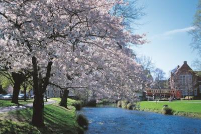 South Island Road Trip Delights: Custom Multi Day 14D : 13N