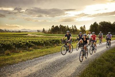 Self-Guided Biking Wine Tour (full day) in the Marlborough Region