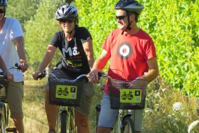 Half-Day Marlborough Wine Region Bike Hire