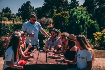 All-Inclusive Waipara Region Wine Tour from Christchurch All-Inclusive Waipara Region Wine Tour from Christchurch