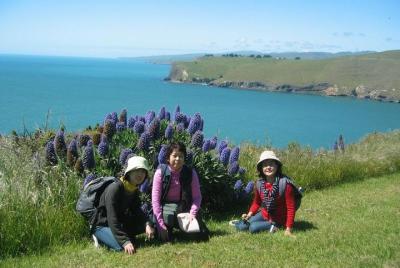 Christchurch Coastal Hiking Tour