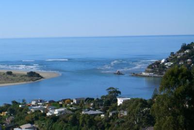 Discover Christchurch Sightseeing Tour with optional Internationa Discover Christchurch Sightseeing Tour with optional Internationa