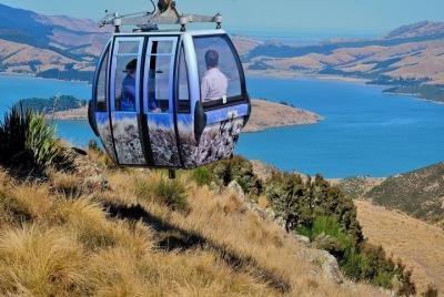 Christchurch Gondola Ride Ticket  Christchurch Gondola Ride Ticket