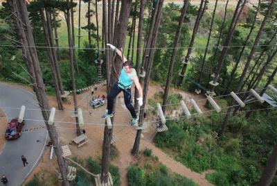 Adrenalin Forest Obstacle Course in Christchurch Adrenalin Forest Obstacle Course in Christchurch