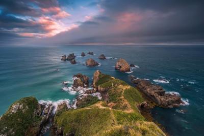 Private Tour: Dunedin to the Catlins Private Tour: Dunedin to the Catlins