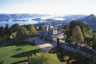Dunedin Shore Excursion: Half-Day Wildlife and Larnach Castle Tou