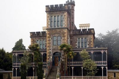 Dunedin Onshore Cruise Group Tour