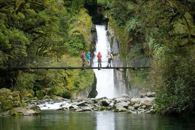 Half-Day Milford Track Guided Hiking Tour Half-Day Milford Track Guided Hiking Tour