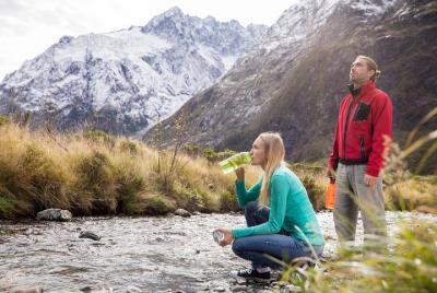 Milford Sound Coach and Scenic Cruise from Te Anau with Picnic Lunch