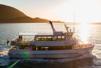 Premium Milford Sound Small Group Tour, Cruise & Picnic Lunch from Te Anau