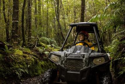 1 Hour Enchanted Forest Track - BUGGIES 1 Hour Enchanted Forest Track - BUGGIES