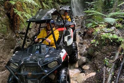 2 Hour Waterfall and Forest Track - BUGGIES 2 Hour Waterfall and Forest Track - BUGGIES