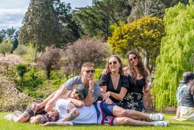 Sightseeingss in Hanmer Springs Things to do in Hanmer Springs 172408