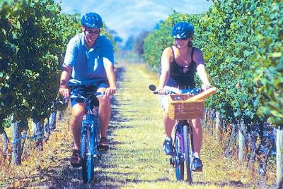 Hawkes Bay Wineries Self-Guided Bike Tour