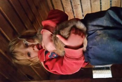 Interactive animal tour