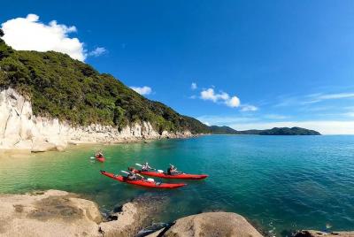 Oarsome Marine Reserve Kayak Tour Oarsome Marine Reserve Kayak Tour