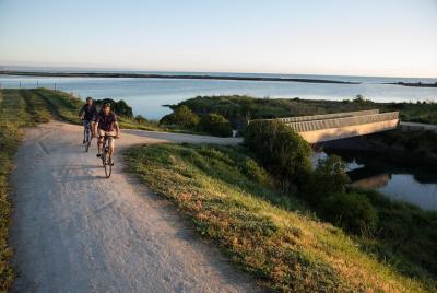 Self-Guided Scenic Bike Ride to Coastal Wineries from Napier Self-Guided Scenic Bike Ride to Coastal Wineries from Napier