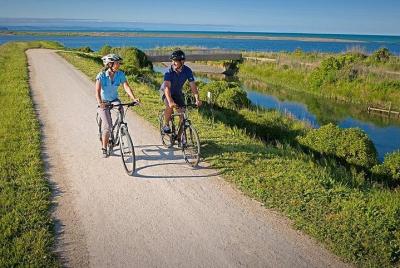 Cape Winery Cycle Tour - 6 wineries, self-guided Cape Winery Cycle Tour - 6 wineries, self-guided