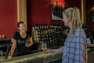 Small Group Hawke's Bay Premium Afternoon Wine Tour 